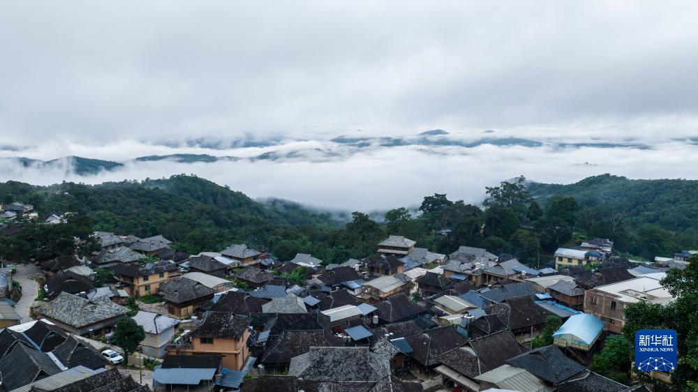 大奖网登录